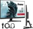 iiyama G-Master G2470HS-B1