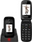 Evolveo EasyPhone FD