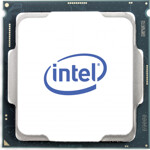 Intel Xeon E-2124G TRAY