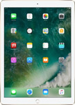 Apple iPad Pro Wi-Fi 256GB Gold MP6J2FD/A