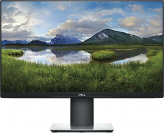 Dell P2419H