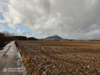 Standardní fotografie