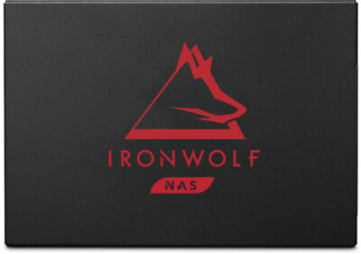 Seagate IronWolf 125