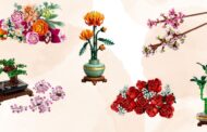 Valentýn v kostkách? Nejlepší LEGO Botanicals jako kytice – 2025